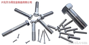 供應:316L 外六角螺栓,華人螺絲網提供各種供應:316L 外六角螺栓報價、價格、生產廠家、供應商-興化齊力得五金制品